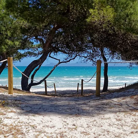 Carlos V * Alcúdia